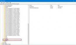 纯净在线观看,探索纯净世界的视觉盛宴